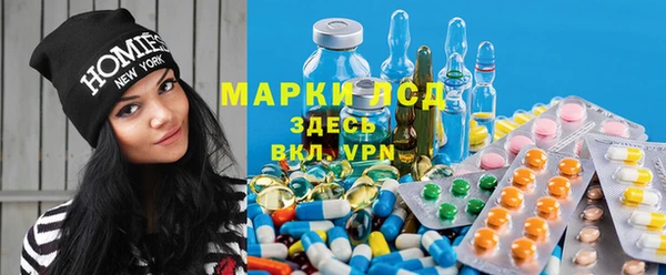 гидропоника Алзамай