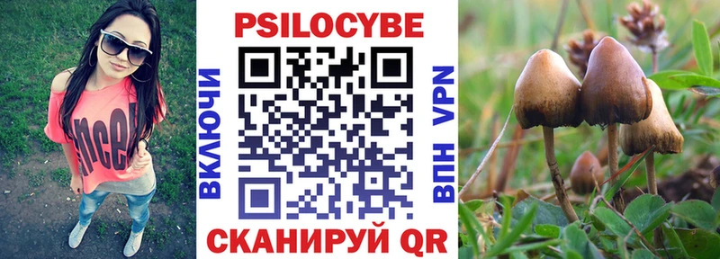 Псилоцибиновые грибы Cubensis  Льгов 